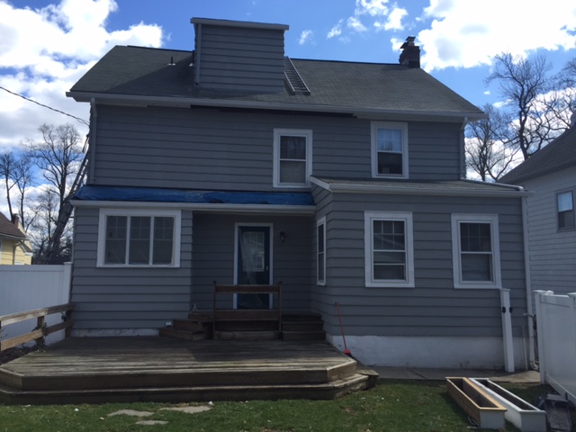 Precision Painting Plus Image